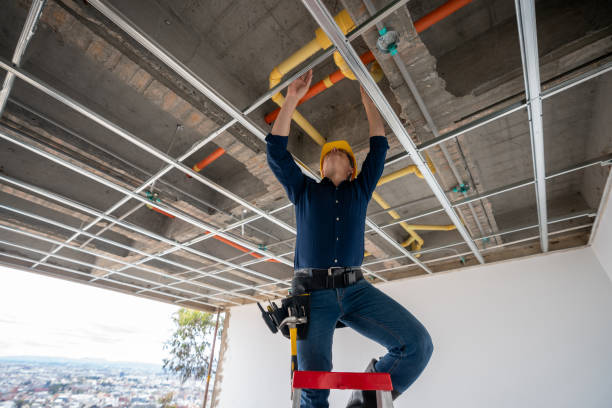 Best Plumbing Repair Near Me  in Torrance, CA